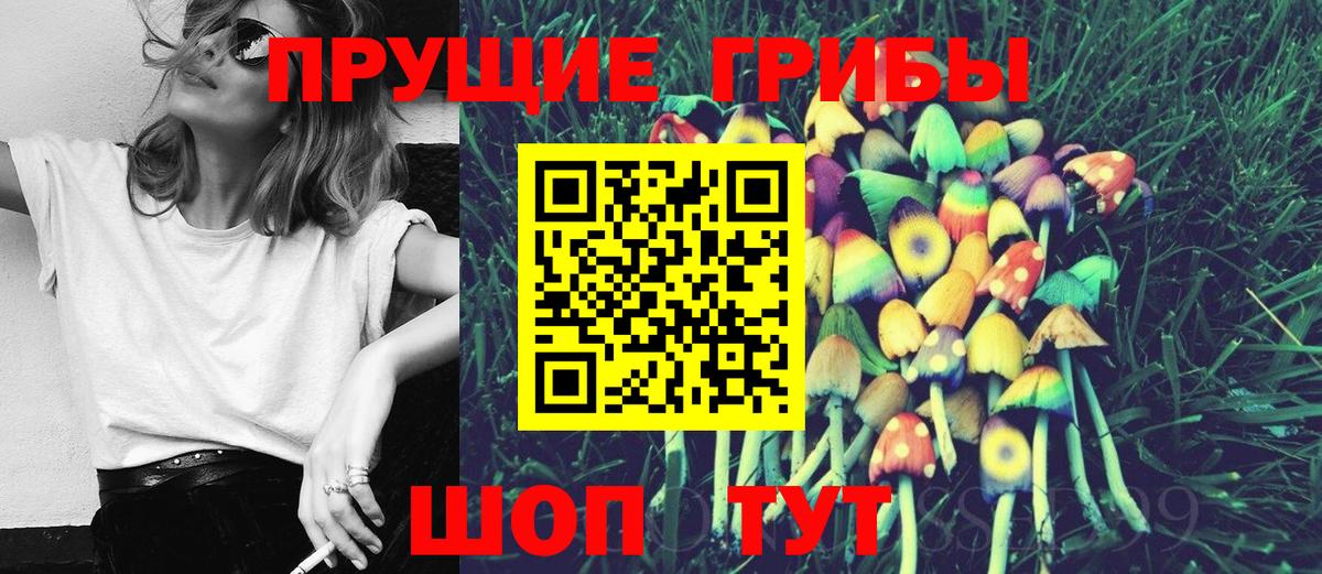 Семёнов  Псилоцибиновые грибы GOLDEN TEACHER  Вход с VPN 